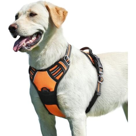 Orange, L , Harnais Chien, Harnais Anti Traction pour Chien Réfléchissant Réglable, Facile à Mettre, avec Poignée Contrôle, Arnet pour Chien Respirant, Durable, Harnais pour Chien Moyen et Grand