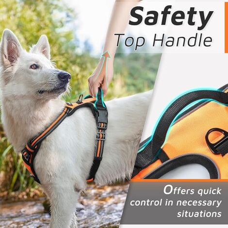 Orange, L , Harnais Chien, Harnais Anti Traction pour Chien Réfléchissant Réglable, Facile à Mettre, avec Poignée Contrôle, Arnet pour Chien Respirant, Durable, Harnais pour Chien Moyen et Grand