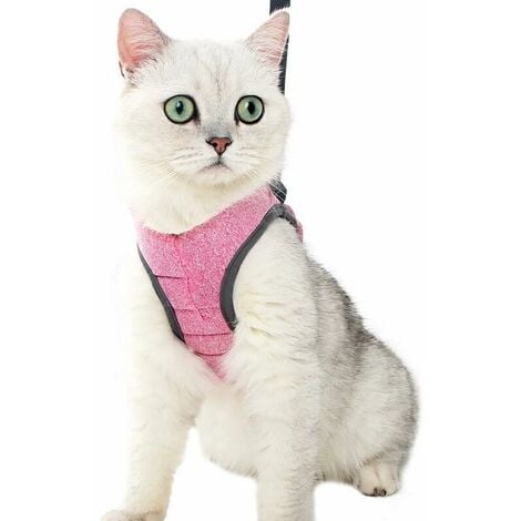 Harnais réglable anti-éclatement pour chat avec laisse - Harnais souple  pour chat - Harnais de poitrine pour chat - Chiot - Gris M : :  Animalerie