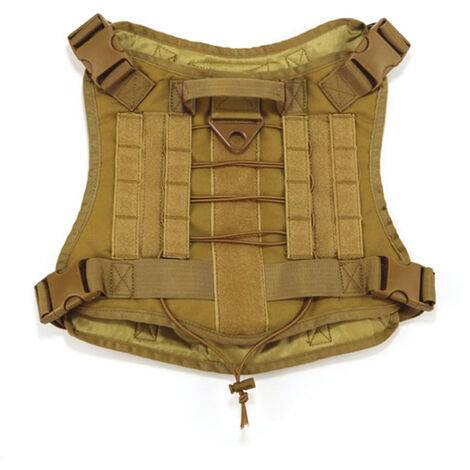 Service Chien Brodé Crochet Et Boucle Patchs Dans L'entraînement