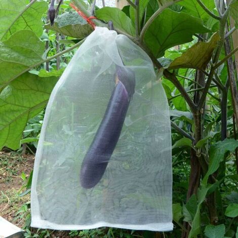 100 Sacs Filet Anti-insectes Et Oiseaux Pour Fruits – 18x20 Cm, Tissu Non Tissé Réutilisable