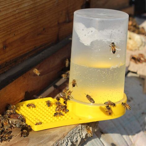 Distributeur D'eau Pour Abeilles - Lot De 10 Mangeoires En Plastique ABS, Apiculture Facile