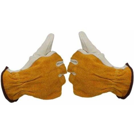 Support Pour Boîtes à Gants Taille L - Distributeur Métallique à Une Main - Pour Laboratoire, Cuisine, Maison