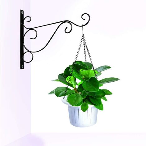 Support Mural Pour Suspension De Plantes - 4 Crochets En Fer Blanc - Pour Pots De Fleurs, Jardinières, Lanternes - Balcon, Jardin, Intérieur