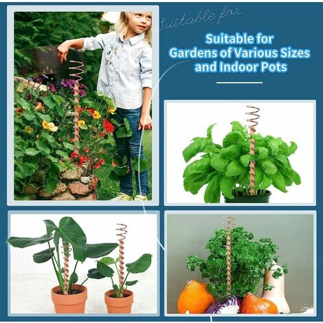 Piquet de plante, paquet de 6 antennes de bobine de cuivre de jardinage de  culture électrique