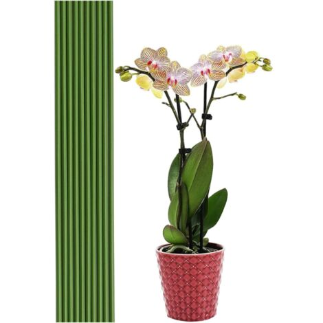 50 Tuteurs En Bois Vert Pour Plantes - Longueur 38 Cm - Avec Liens Et Ruban - Pour Orchidées, Plantes Grimpantes, Jardinage