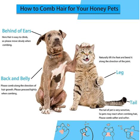 Brosse pour animaux de compagnie - Brosse pour chien et chat - Brosse pour animaux de compagnie - Brosse pour poils longs et courts - Brosse nettoyante avec un bouton