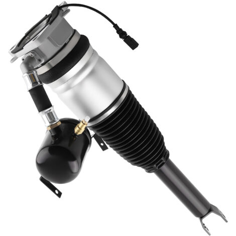 Arrière Gauche Amortisseur Suspension Pneumatique for VW Phaeton 3D6 3D7 3D8 3D9 (1/5)