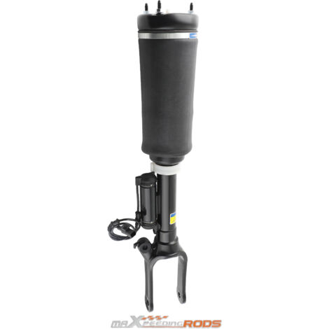 854S2513 RIDEX Amortisseur Essieu arrière, Pression de gaz, Jambe de