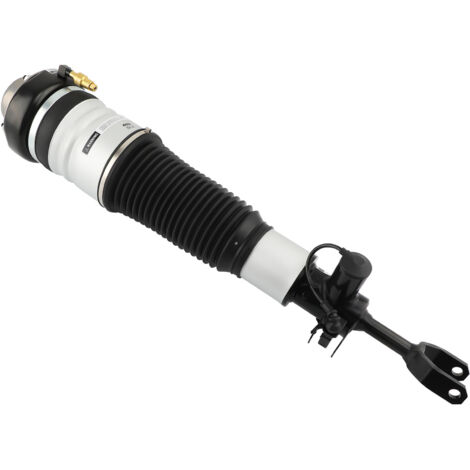 Amortisseur Suspension Pneumatique Struct avant gauche for Audi A6 Avant C6 4F (1/5)