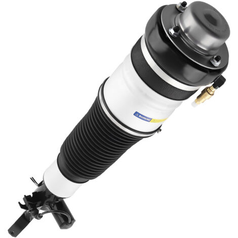 Amortisseur Suspension Pneumatique Struct avant gauche for Audi A6 4F0616039AA (1/5)