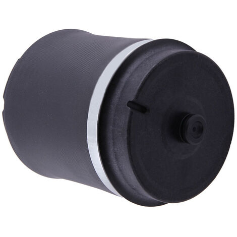 Suspension Pneumatique Arrière RKB500082 Gauche/Droite for Range Rover L322 (1/5)