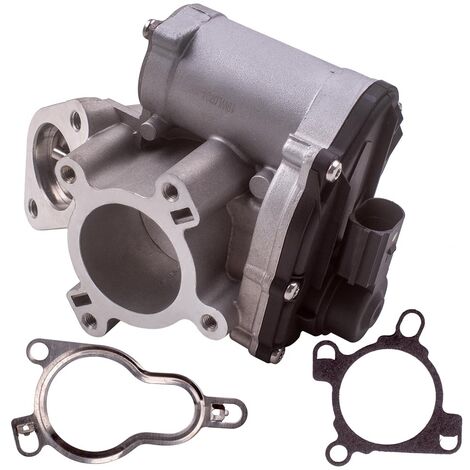 Vanne EGR pour Renault Laguna III