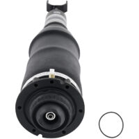 Jambes De Suspension Pneumatique for Audi A6 C5 4b Suspension Avant 4z7616051d