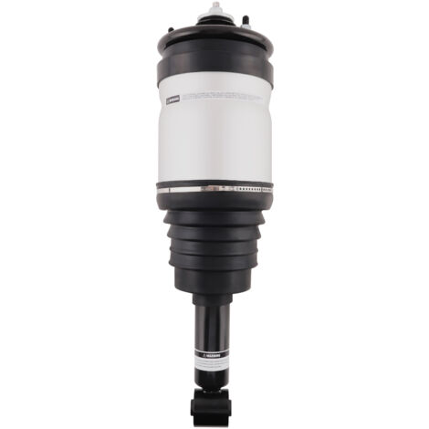 Rear Left or Right Air Suspension Strut For Range Rover Sport 05-15 RPD501030 (1/5)