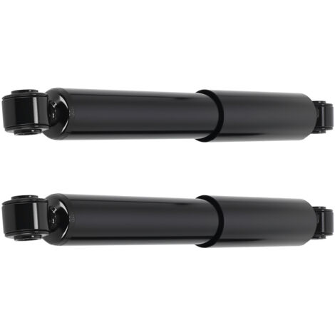 Rear Shocks Absorbers Shockers for Fiat Ducato Peugeot Boxer Citroen Jumper