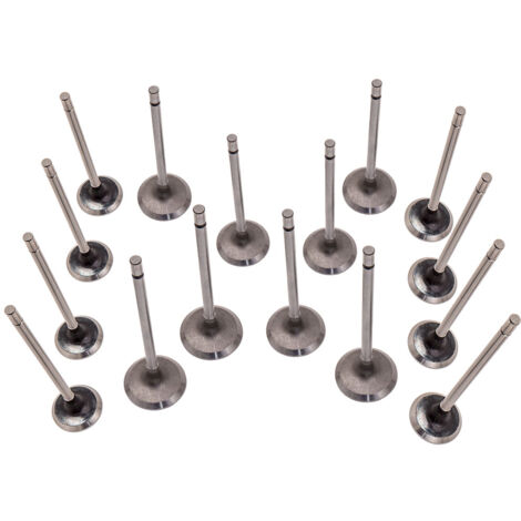 16X Valve Kit For Renault Clio Megane Laguna Scenic Kangoo Modus 1.4 16V/1.6 16V (1/5)