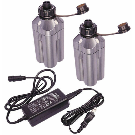 2 Stück Ersetzakku BM2300 mit Ladegerät RB-CC4002 für Daiwa Elektrische Angelrolle Batterie BM2300 BM2000 Lithium Tanacom 500 750 Seaborg 300MJ 500J Kompatibel mit Shimano 14,8V Akku (1/5)