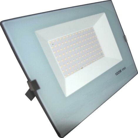 Projecteur LED Extérieur 100W IP65 No Flicker - BLEU GRIS - Blanc