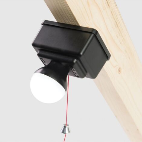 Loft Light (1/5)