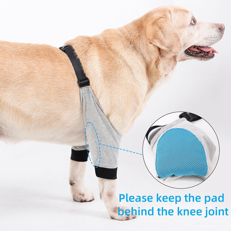 Protège-coude pour chien, protection Anti-léchage des épaules, coussinet  respirant, articulations des jambes, gaine pour animaux de compagnie