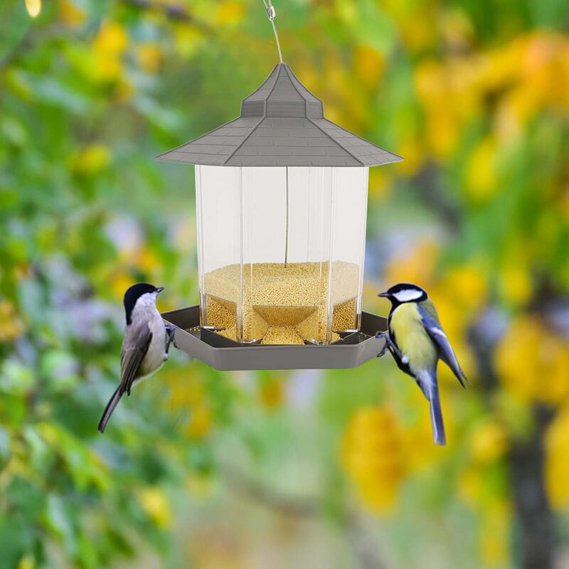 Mangeoire à oiseaux à suspendre avec 4 ports, mangeoires à oiseaux avec  crochet en acier résistant aux intempéries, idéale pour attirer les oiseaux  à l'extérieur, dans le jardin : : Jardin