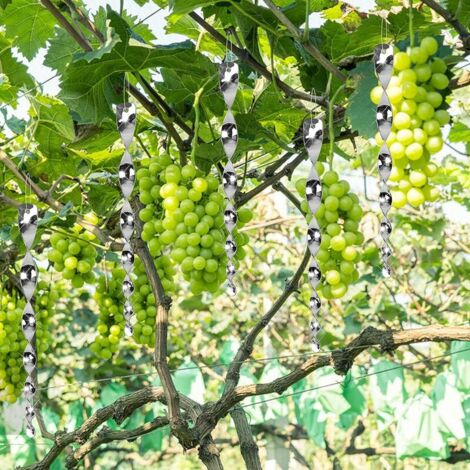 6 Répulsifs à Oiseaux Réfléchissants En Spirale - En ABS, Suspendus - Pour Jardin, Balcon, Arbres Fruitiers, Potager - 8