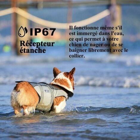 Meloive Collier de Dressage pour Chiens Rechargeable et IP67 Étanche avec Distance de 800m avec 99 Niveaux de Mode Vibration, Choc Electrique, Sonore.
