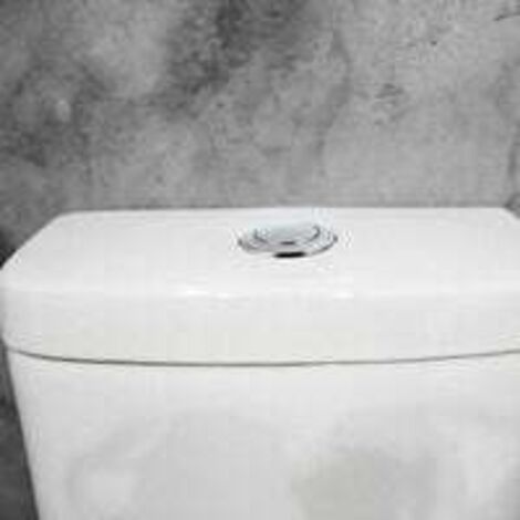 Bouton De Chasse D’eau Simple Et Robuste - Remplacement Facile Pour Toilettes, Couleur Argenté
