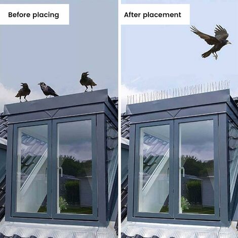 Lot de 8 répulsifs Anti-Pigeons en Acier Inoxydable pour Balcon, Toit et  fenêtre - Protection Contre Les Oiseaux - pour Le Jardin fruitier.