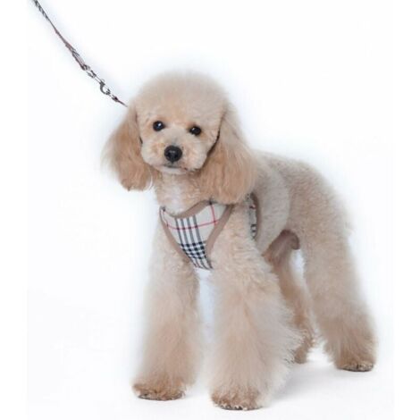 s Petit Chien Harnais et Laisses