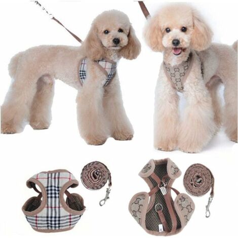 s Petit Chien Harnais et Laisses