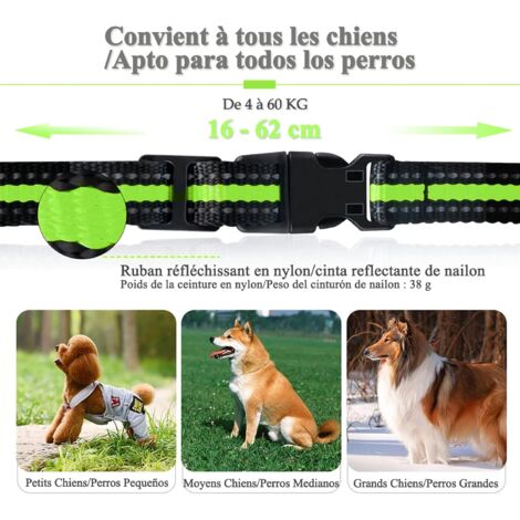 Airtag Dog Harness And Leash Set Mascotas Collier Pour Chien