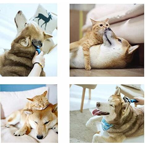 Brosse à sous-poil pour chiens et chats à poils moyens à longs - Brosse à sous-poil contre les nœuds et sous-poils