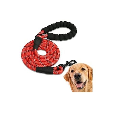 Laisse corde épaisse pour chien