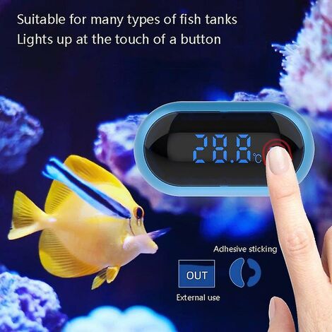 Thermomètre numérique pour aquarium - PEARL