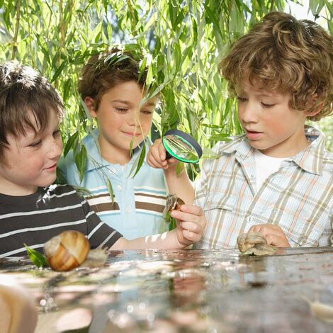 Loupe à insectes pour enfants - Kit Observateurs d'insectes pour enfants - Boîte à