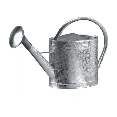 arrosoir en acier galvanise 13L avec pomme plastique et grille acier