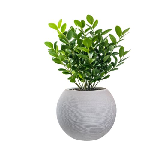 Vase Sphérique Rond En Résine Beige Botticelli Pour Plantes D'Intérieur Et D'Extérieur, 40X33 Cm (1/5)
