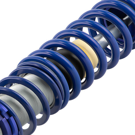 Molla Coilover 2.25 Id Molla Coilover Da Competizione 2,25" ID X 9 - Foto 3