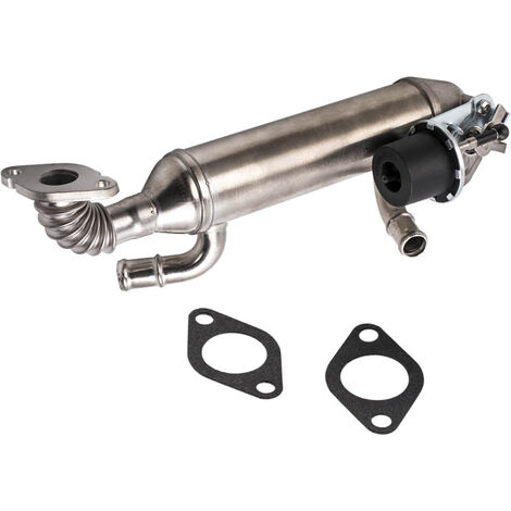 Válvula EGR Refrigerador para VW Touareg T5 Transporter V 1.9&2.5 Tdi 070131512 (1/5)