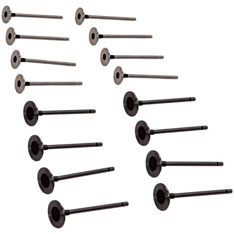 16X Kit Válvula Pour Renault Clio Megane Laguna Scenic Kangoo Modus 1.4/1.6 16 (1/5)