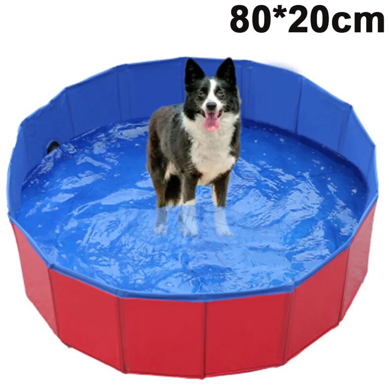 Piscine pliable pour animaux de compagnie  Animal domestique, Bain pour  chien, Piscine chien