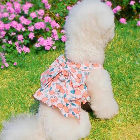 Robe d'été pour petit chien, vêtements pour petits chiens, chats, filles,  fleurs mignonnes, harnais pour