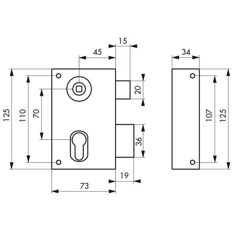 Boitier de serrure verticale en applique double entrée à fouillot pour entrée, droite, axe 45mm, 73x125mm, noir
