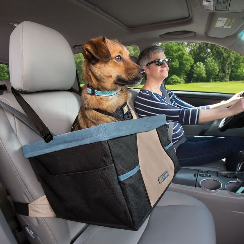 Hunde-Autositz (Farbe: grau mit Plüsch)