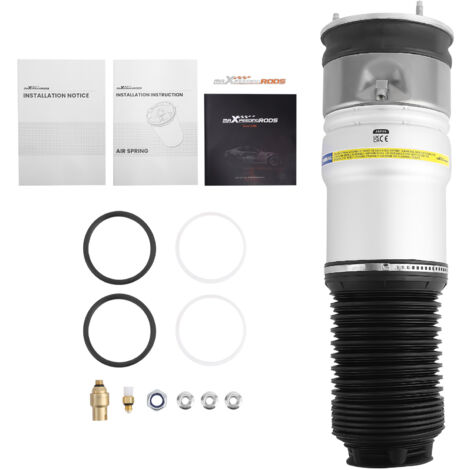 Ammortizzatore Posteriore Aria for BMW 7 F01, F02, F03, F04 ActiveHybrid 7 (1/5)
