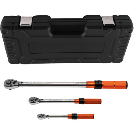Chiave Dinamometrica Professionale Set 1/4 3/8 1/2 Pollici 5-220Nm Valigetta (1/5)