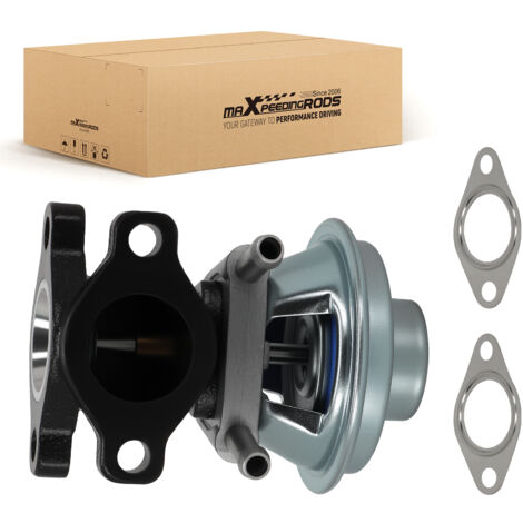 Valvola EGR for Fiat Ducato Telaio 250 2.3L 2006-2010 504150396 con guarnizione