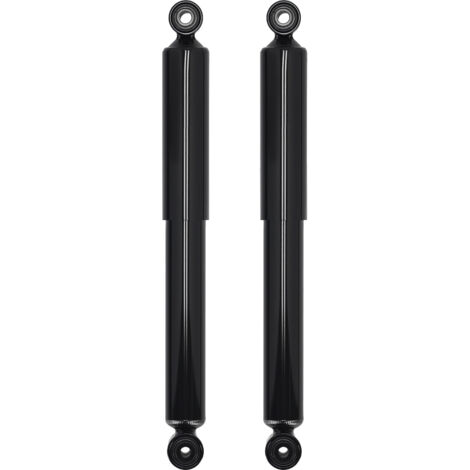 2x Ammortizzatore for FIAT PANDA 03-13 348005 Posteriore 51857284 51857281 (1/5)